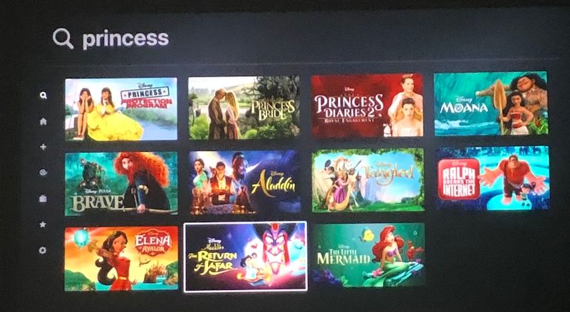 A photo of the Disney+ user interface with the search query "princess" and assorted results..