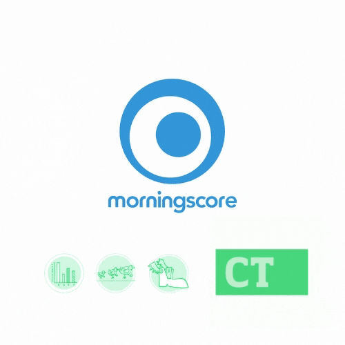 Grading the extreme complexity of search appearance: Morningscore review