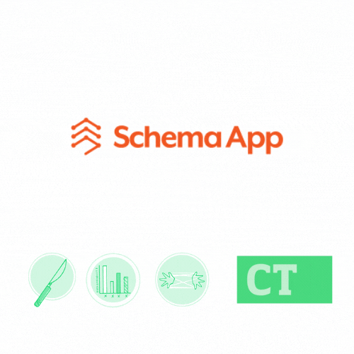 Build your knowledge graph without bugging your dev team: Schema App review