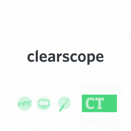 A curious and innovative approach to entity optimization: Clearscope review