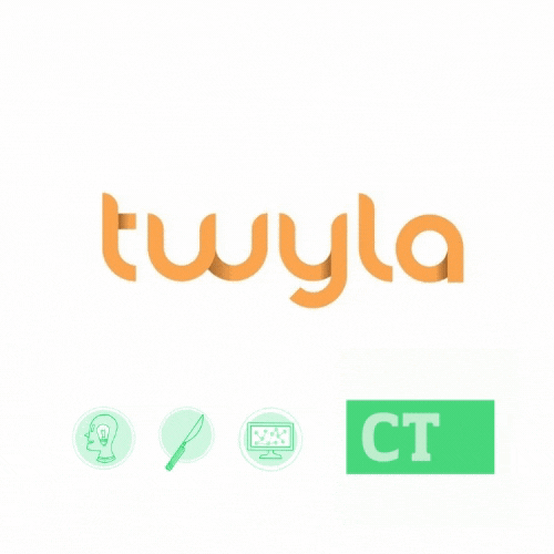 The case for better chatbots: Twyla review
