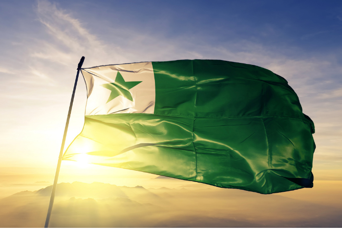 The flag for the nation Esperanto (a green star in a white rectangle in the upper left corner of a green flag)